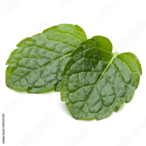 Peppermint herb isolated on white background cutout. Mint leaves.