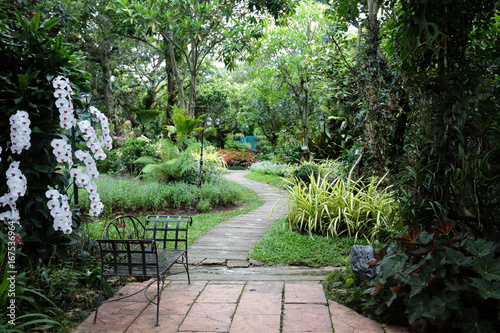 The garden is decorated in tropical jungle style for relaxation.
