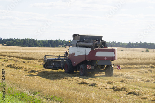 зерноуборочный комбайн убирает пшеницу в жаркий летний день. Белоруссия