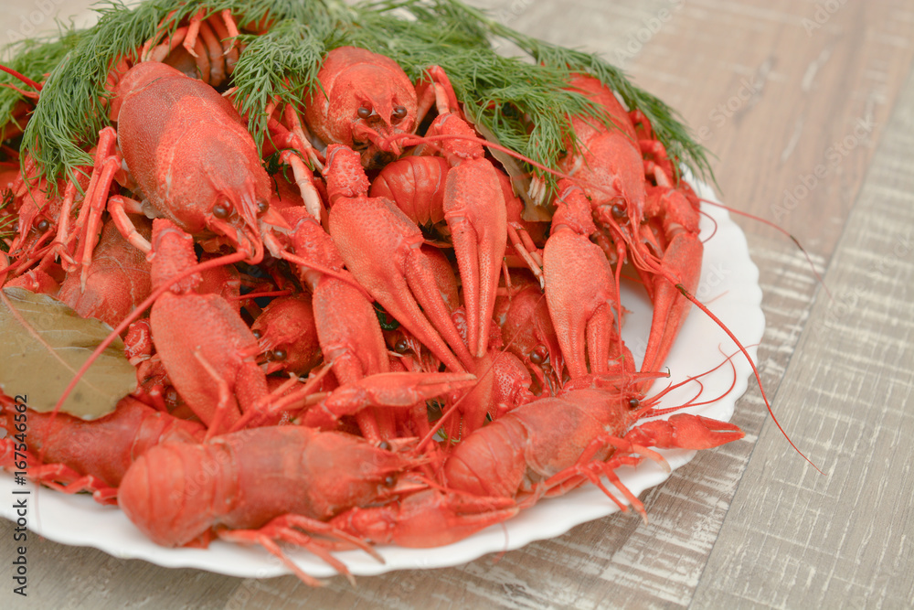 Boiled river crayfish on a plate. Seafood. Snack to beer. Boiled river crayfish on a plate. Seafood. Snack to beer.