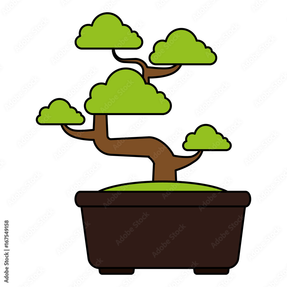 Bonsai tree isolated icon vector illustration design Bonsai tree isolated icon vector illustration design