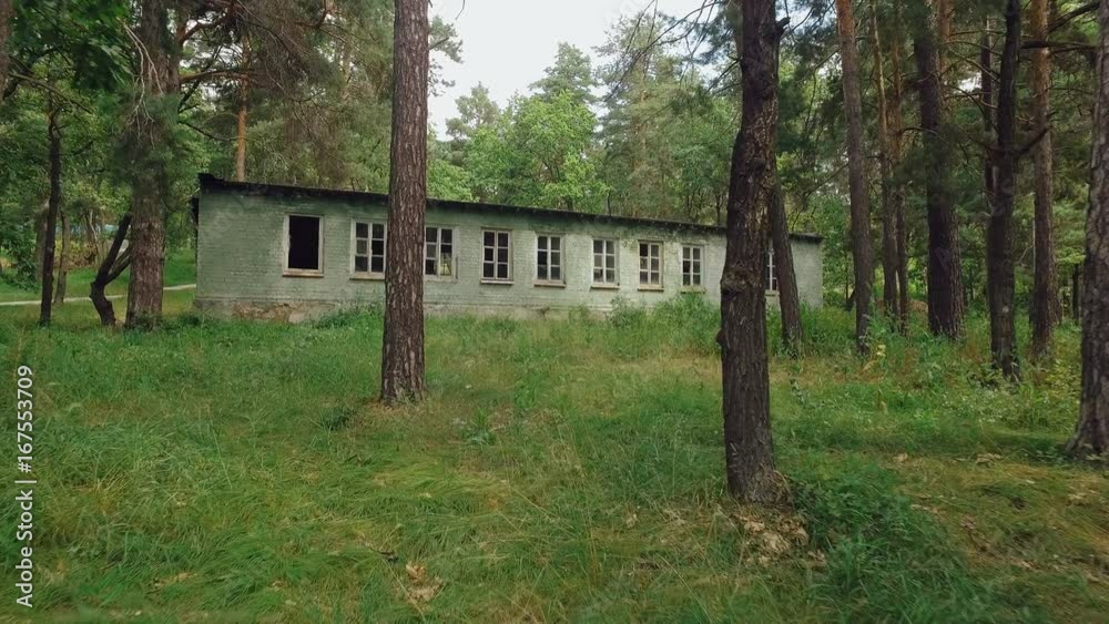 camera moves to abandoned old building in pine forest, through tree trunks in summer day camera moves to abandoned old building in pine forest, through tree trunks in summer day