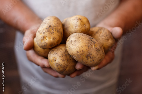 Farmer with potatoes in his hands
