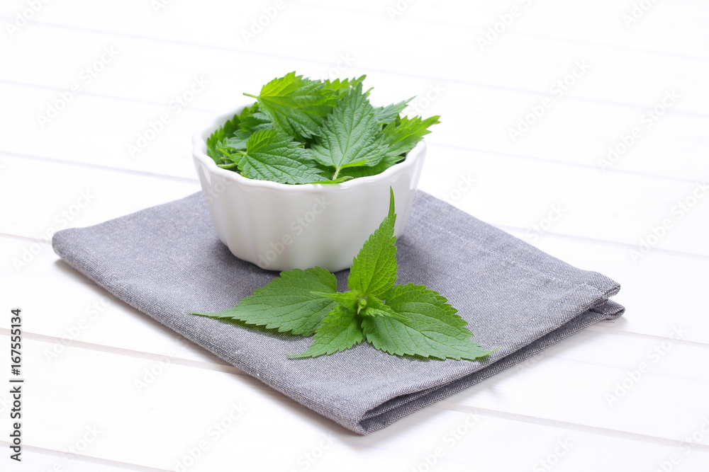 fresh nettle leaves Stock Photo Adobe Stock