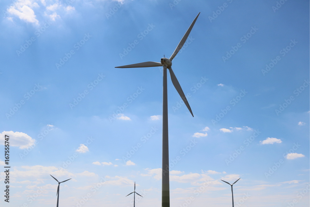 Windmills Windmills
