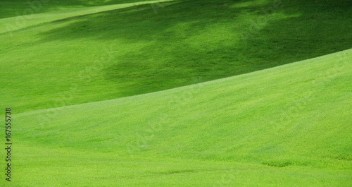 芝生のじゅうたん © ykokamoto