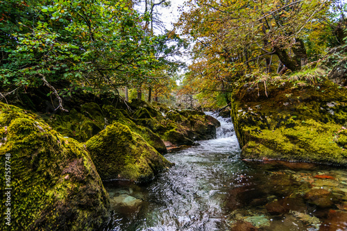 Autumn Stream in the Lake District