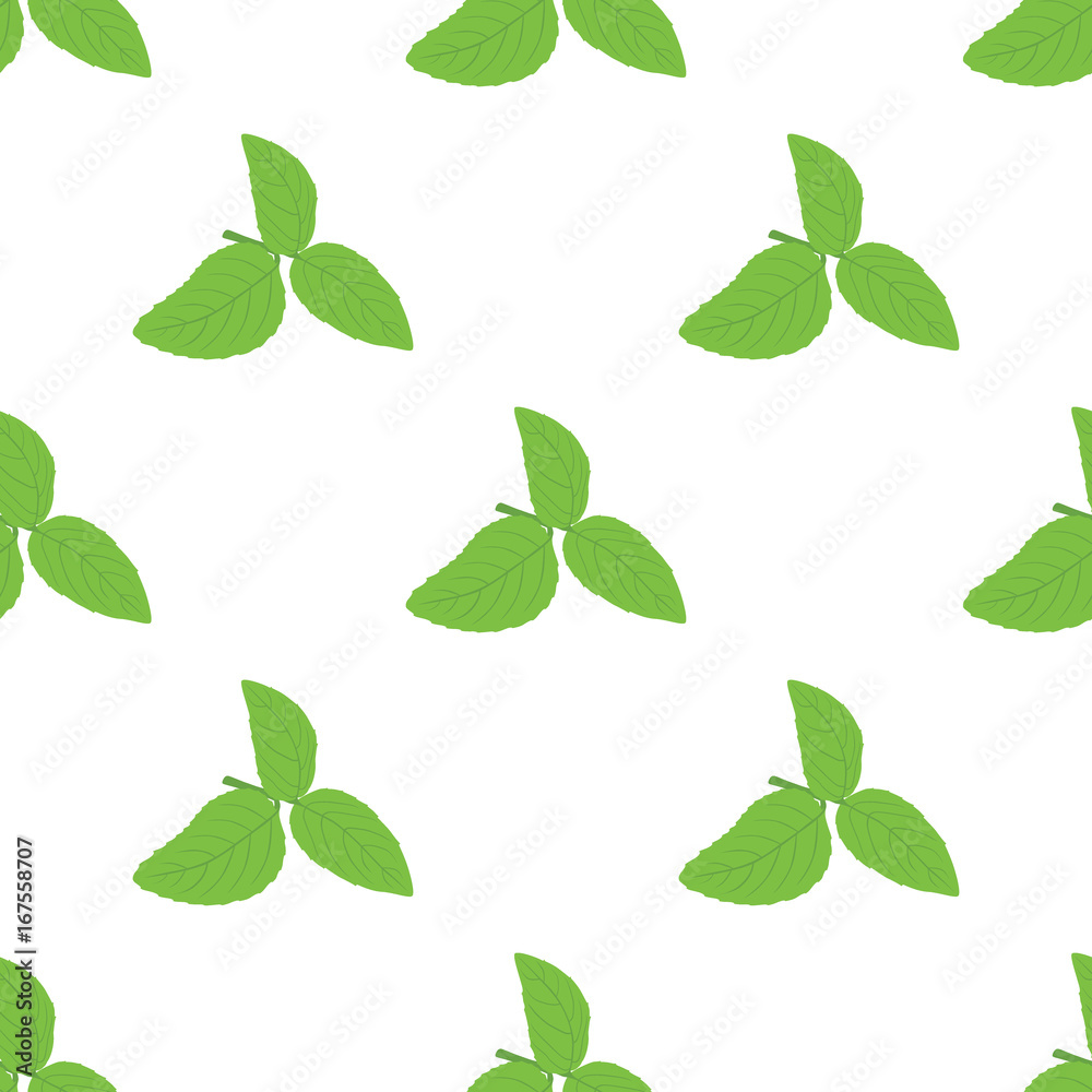 Green basil (Ocimum tenuiflorum) leaves seamless pattern. Vector illustration