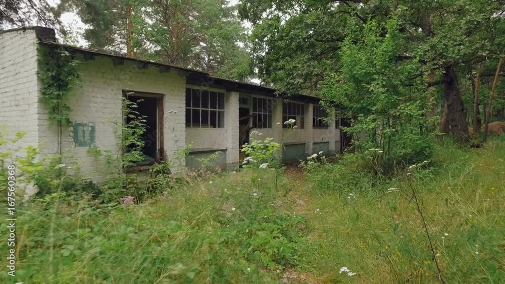 camera is approaching to abandoned house in forest in summer day, broken doors and windows camera is approaching to abandoned house in forest in summer day, broken doors and windows