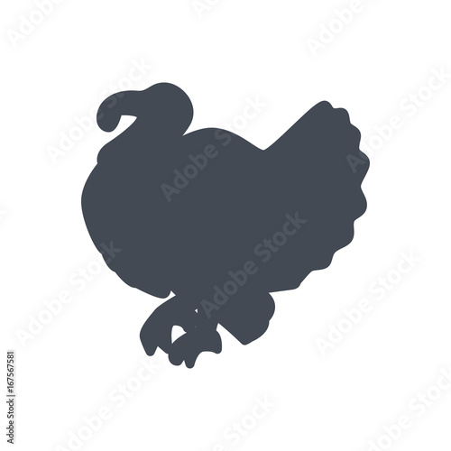 Thanksgiving day holiday colored icon turkey animal