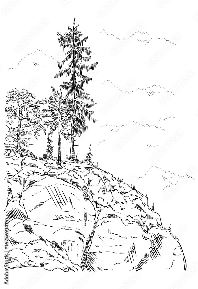 Obraz premium rock with trees