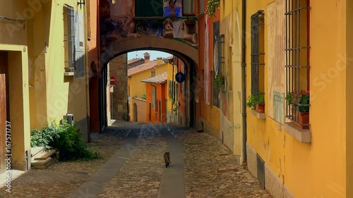 back of cat walking in the colorful streets of the medieval village of Dozza, a small gem among the architectural wonders of Italy, color graded clip