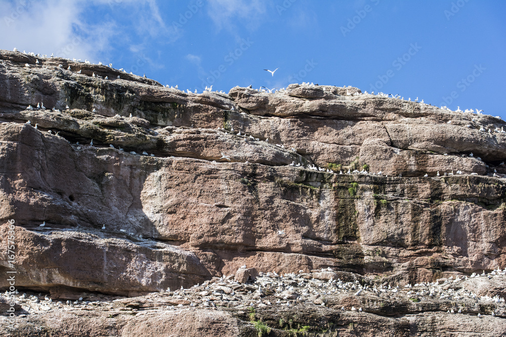 Fototapeta premium Nationalpark 
