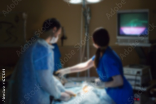 veterinarian doctor in operation room for laparoscopic surgical take with art lighting. blur