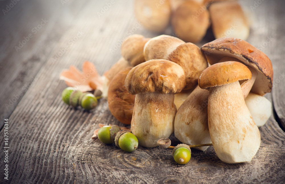 Ceps mushroom. Boletus closeup on wooden rustic table Ceps mushroom. Boletus closeup on wooden rustic table