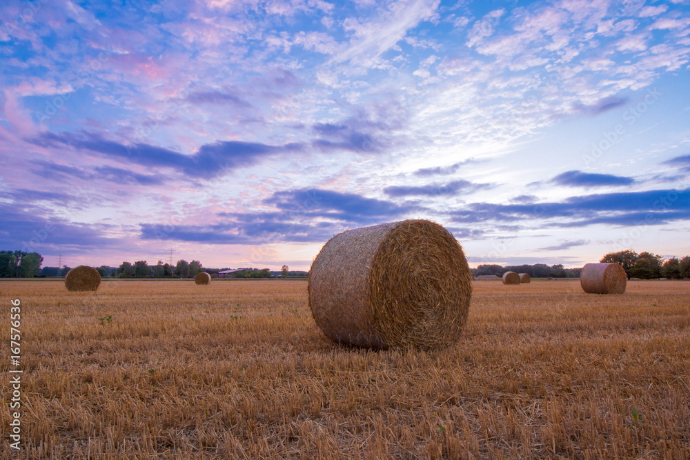 Goldene Strohballen nach der Ernte im Spätsommer in der Abenddämmerung Goldene Strohballen nach der Ernte im Spätsommer in der Abenddämmerung