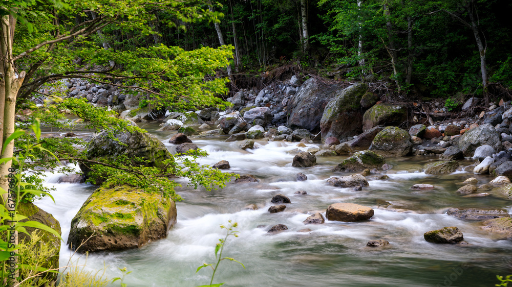 Fototapeta premium Creek Flowing Over Rock in Rainforest