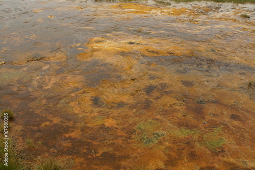 heiße Quelle im Yellowstone NP