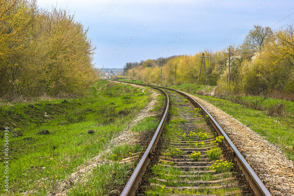 Railway line passing through the forest Railway line passing through the forest