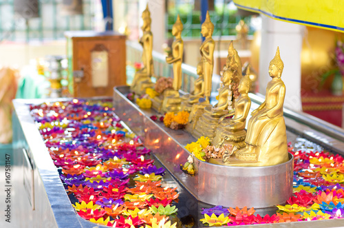 Lotus multicolored candles floating in water surrounding the Buddha statue.The temple is a place of religious importance and public place for general people either Thai people and foreign visitors.