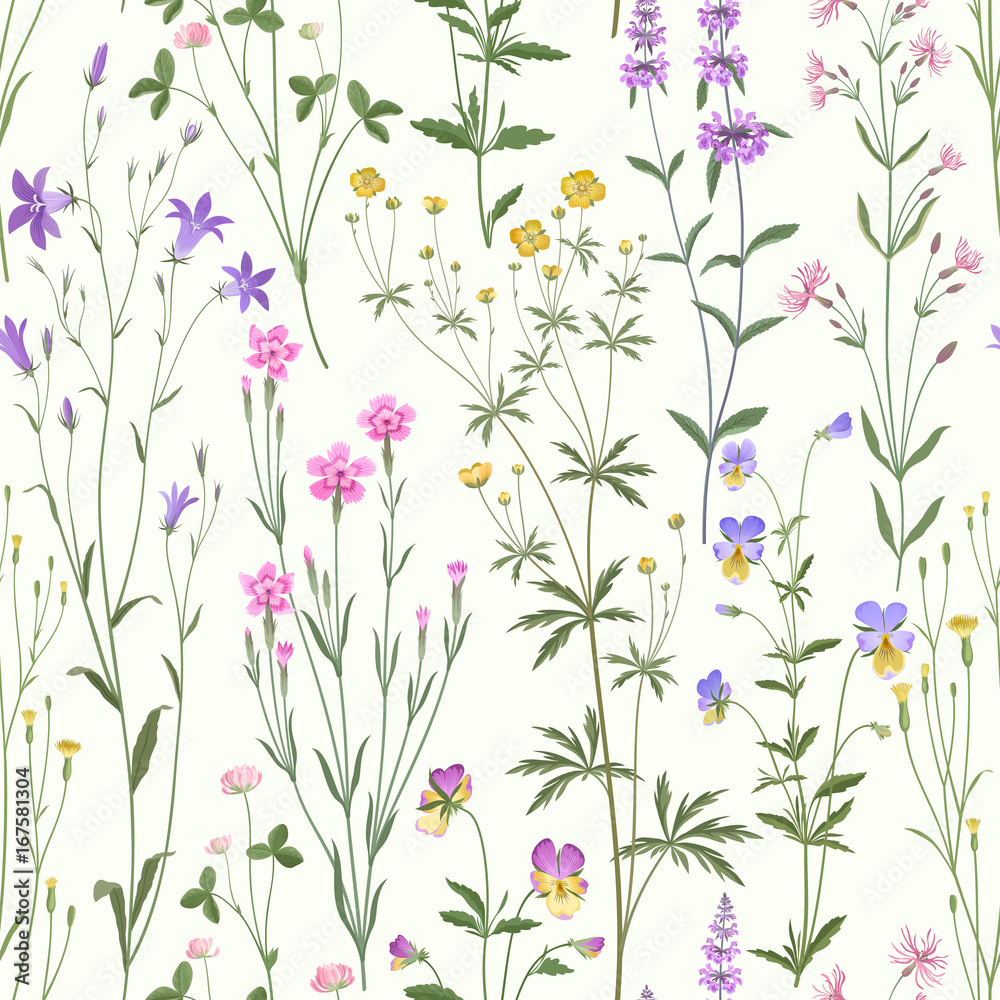 meadow flower pattern on white background Stock Vector | Adobe Stock