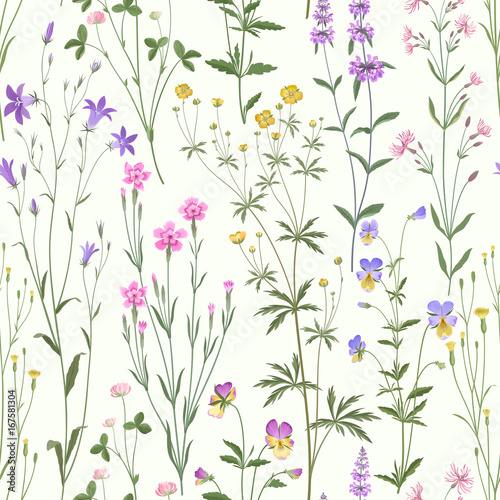 meadow flower pattern on white background