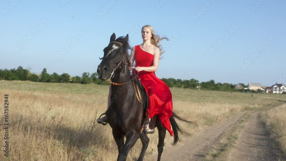Young girl wearing long red dress riding black horse in countryside. Beautiful horsewoman rides a trotting stallion across a field in slow motion. Girl's long hair and horse mane blowing in the wind. Young girl wearing long red dress riding black horse in countryside. Beautiful horsewoman rides a trotting stallion across a field in slow motion. Girl's long hair and horse mane blowing in the wind.