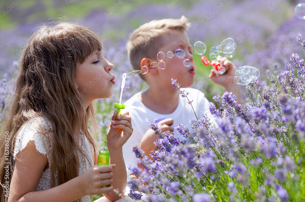 Two kids having fun blowing soap bubbles in lavender field at sunny day Two kids having fun blowing soap bubbles in lavender field at sunny day