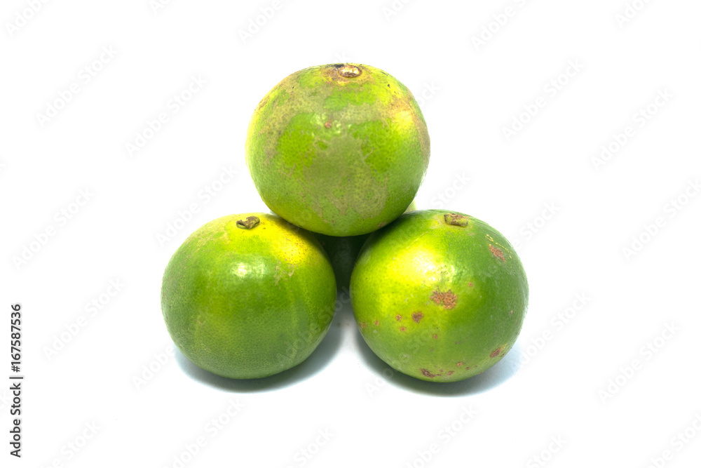 Lemon Lemon