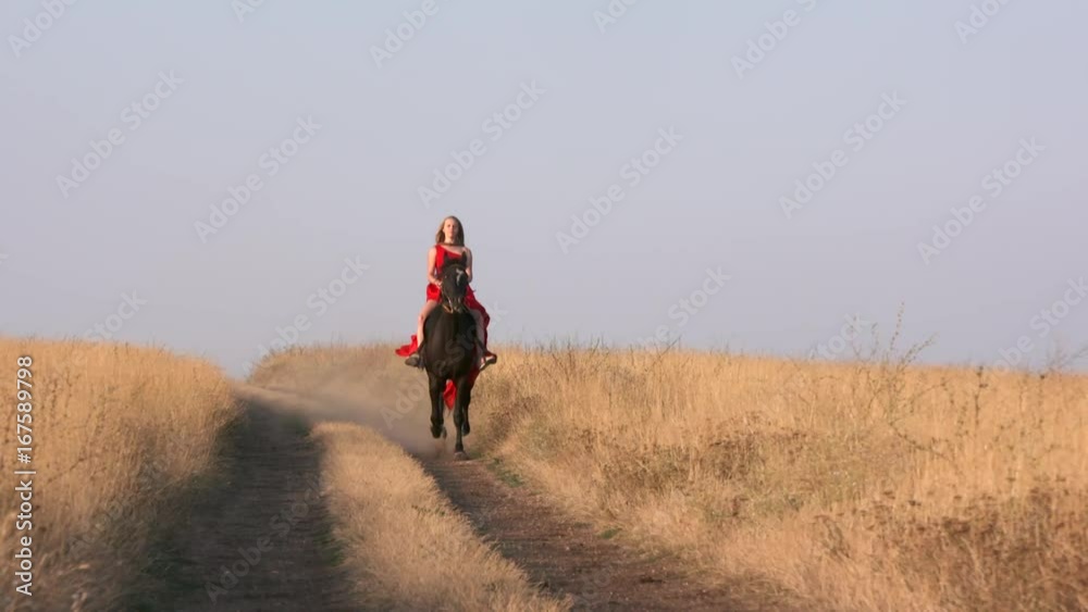 Young girl in long red dress riding black horse on path across dry grassland. Beautiful female rider rides galloping stallion in slow motion. Girl's bright gown blowing in the wind. Young girl in long red dress riding black horse on path across dry grassland. Beautiful female rider rides galloping stallion in slow motion. Girl's bright gown blowing in the wind.