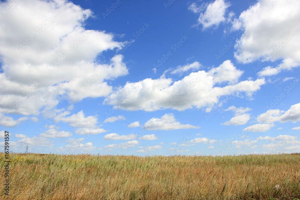 landscape in a field on a background of clouds