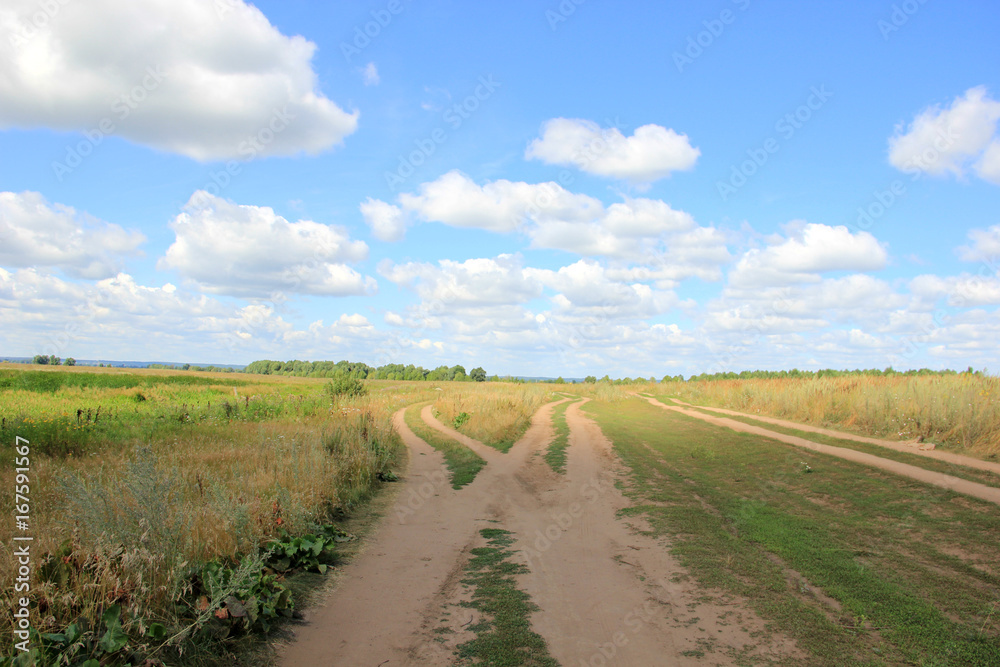 road in the field road in the field