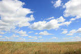 landscape in a field on a background of clouds