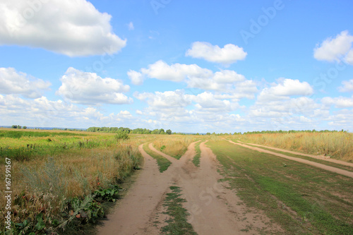 road in the field © albert