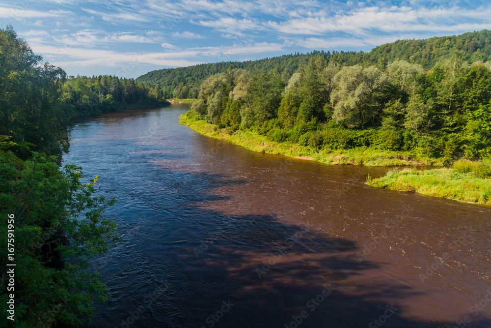 River Gauja in Gauja National Park, Latvia