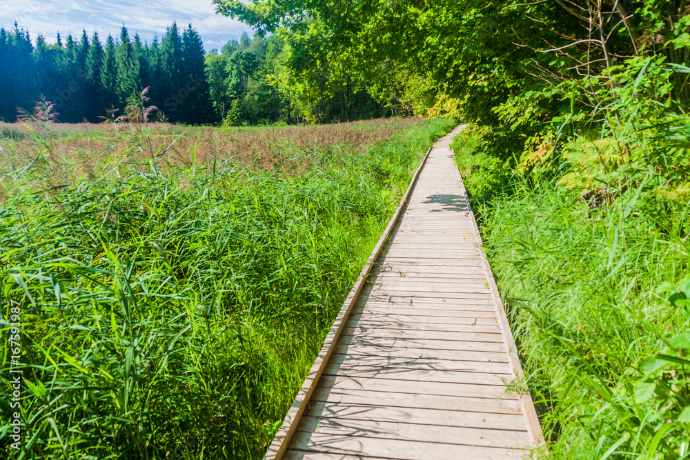 Obraz premium Boardwalk in Gauja National Park, Latvia