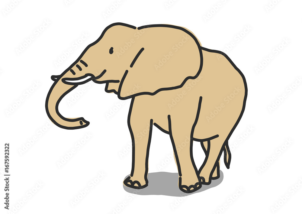 Obraz premium Elephant line drawing. hand drawn. vector illustration.