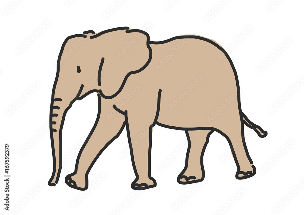 Obraz premium Elephant line drawing. hand drawn. vector illustration.