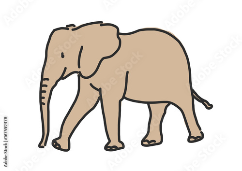 Elephant line drawing. hand drawn. vector illustration. © smalllike