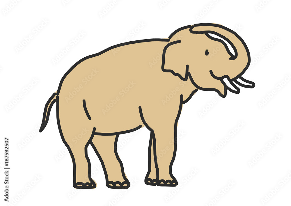 Elephant line drawing. hand drawn. vector illustration. Elephant line drawing. hand drawn. vector illustration.