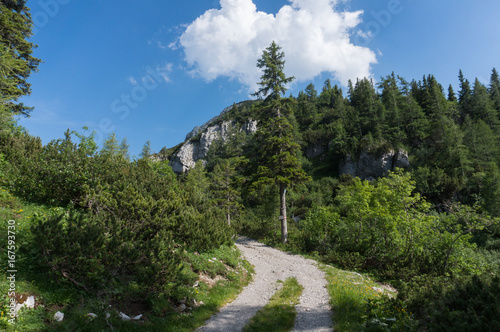 Alpine hiking path in Austria © Emil