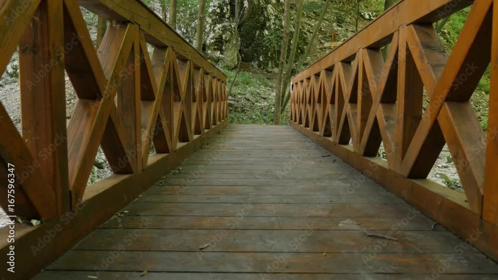 Wooden bridge in the forest slow tilt 4K 2160p 30fps UltraHD footage - Plank made passage structure 3840X2160 UHD tilting video Wooden bridge in the forest slow tilt 4K 2160p 30fps UltraHD footage - Plank made passage structure 3840X2160 UHD tilting video