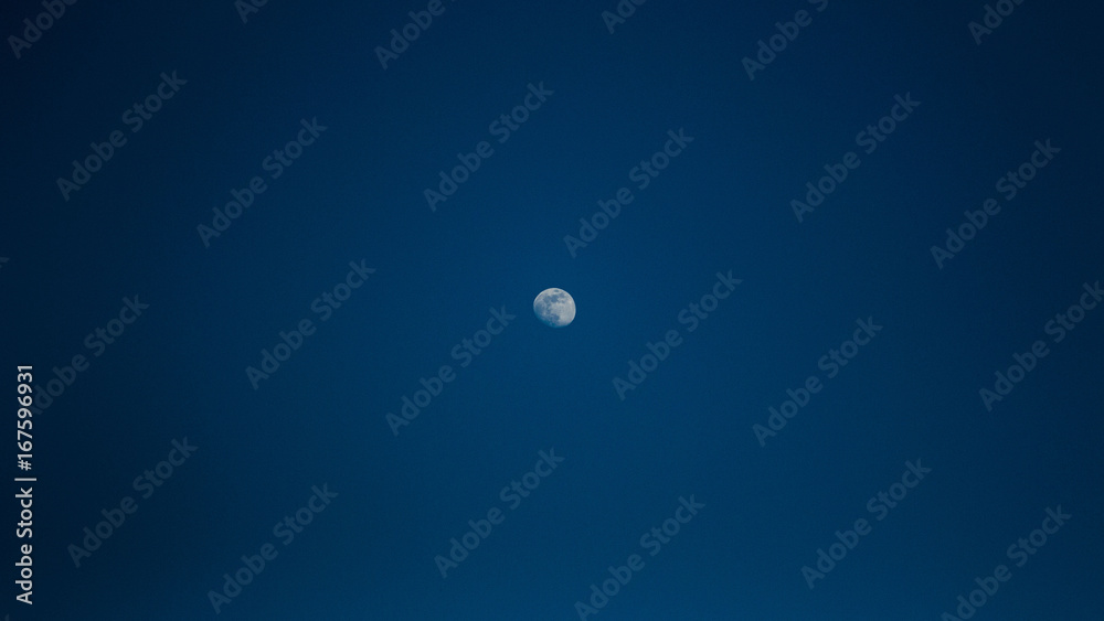 Moon Moon
