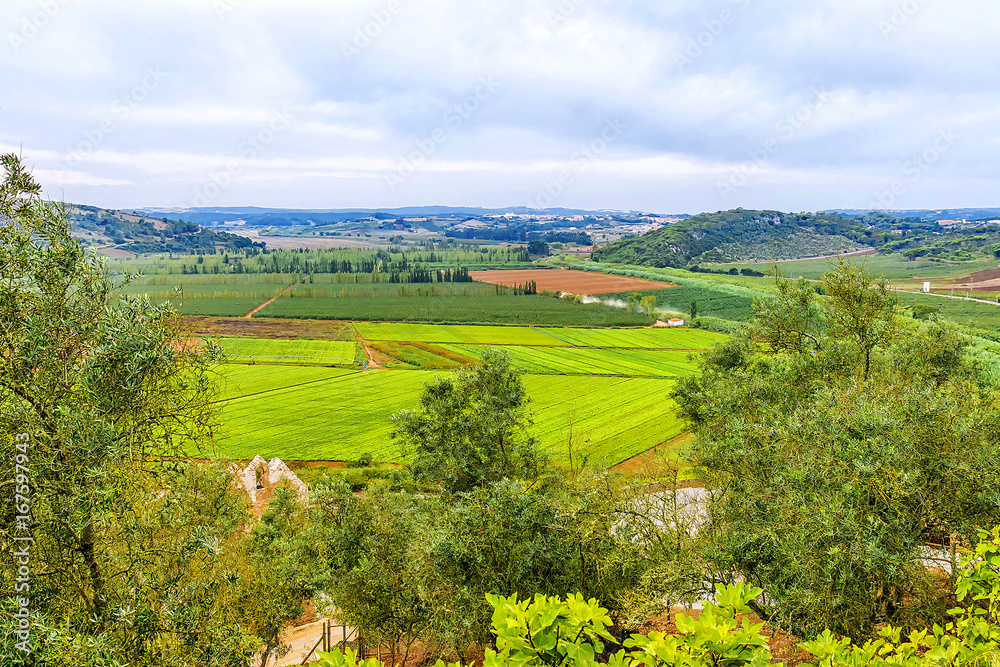 Obraz premium Panoramic view of the agricultural fields in Portugal