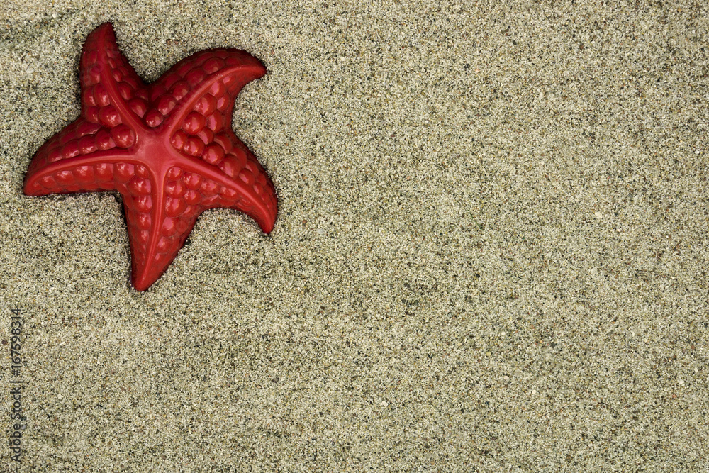 Starfish on the sand. Flat lay. Advertising holiday summer card concept