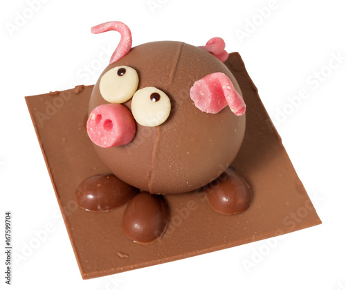 Nice chocolate pig photo