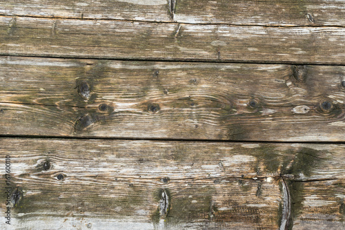 Brown wood texture. Abstract background, texture image