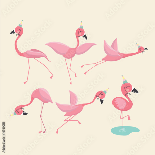 Pink flamingo set, vector illustration.