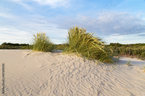 Dünenlandschaft auf Insel Borkum. Nordsee Ostfriesland.