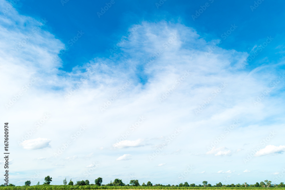 Blue sky and cloud with tree. landscape background. Blue sky and cloud with tree. landscape background.
